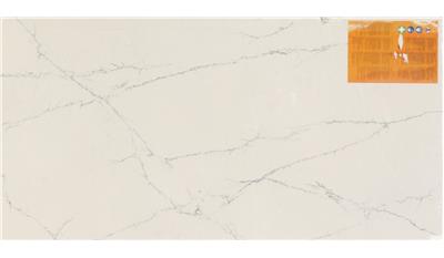 Calacatta Montage Q Premium Quartz
