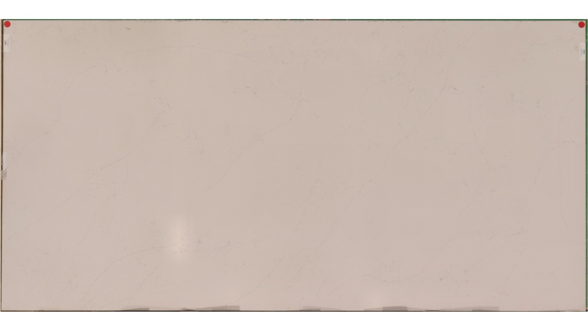Calacatta Botanica (Image) 3cm Q Quartz (AZ) Slabs