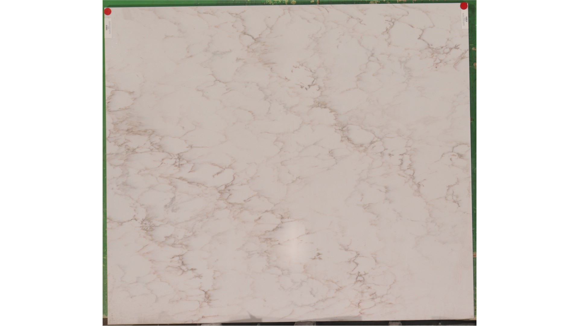 CALACATTA CINELA 3cm  Q Quartz (AZ) Slabs