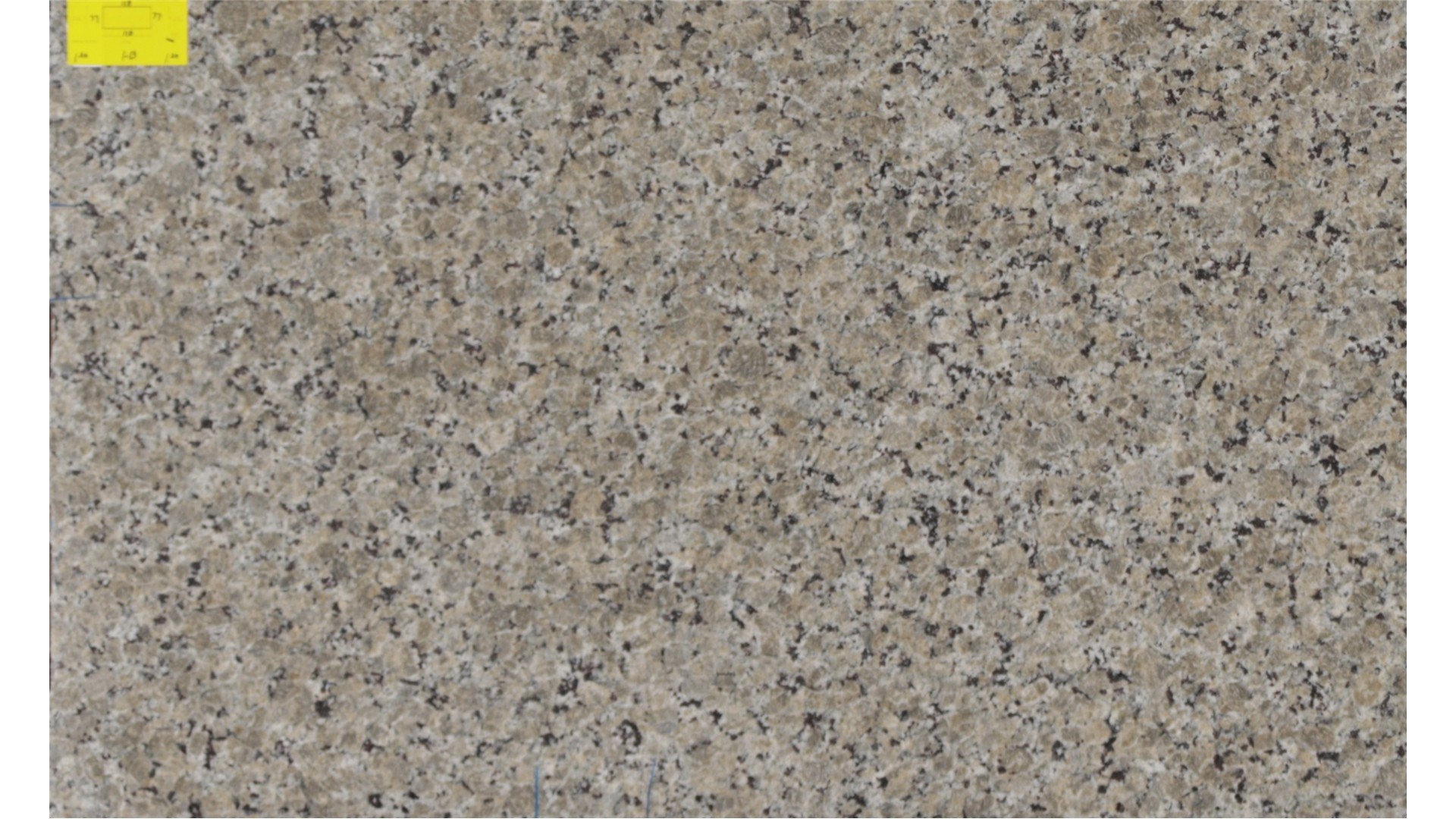 FERRO GOLD GRANITE Slabs