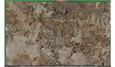 Delicatus Gold 3cm Daltile HD Stone (AZ)