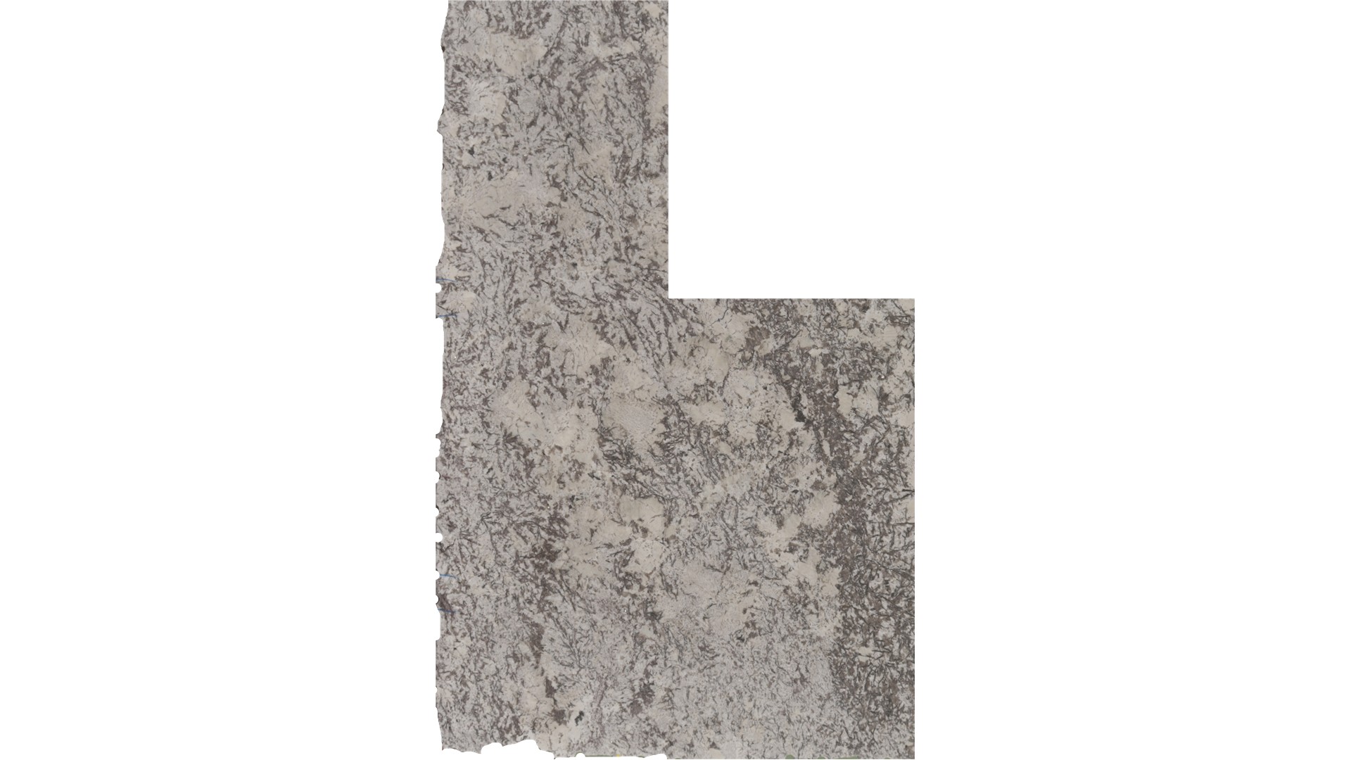 DELICATUS WHITE GRANITE Slabs