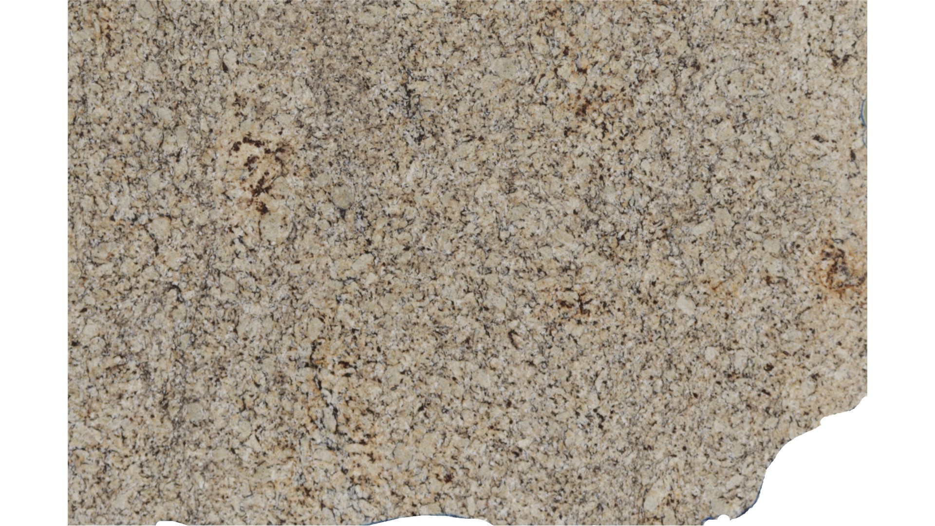 VENETIAN ICE/TAKODA DAWN GRANITE Slabs