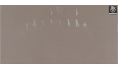 STELLAR GRAY Q Quartz