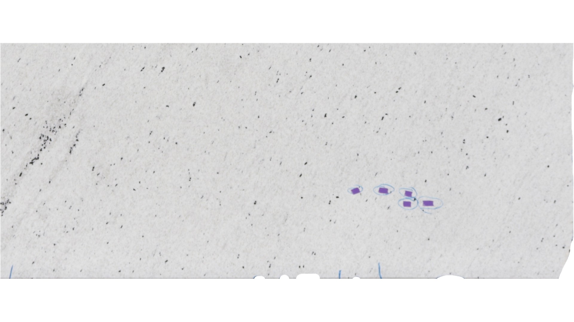 PITAYA  GRANITE Slabs