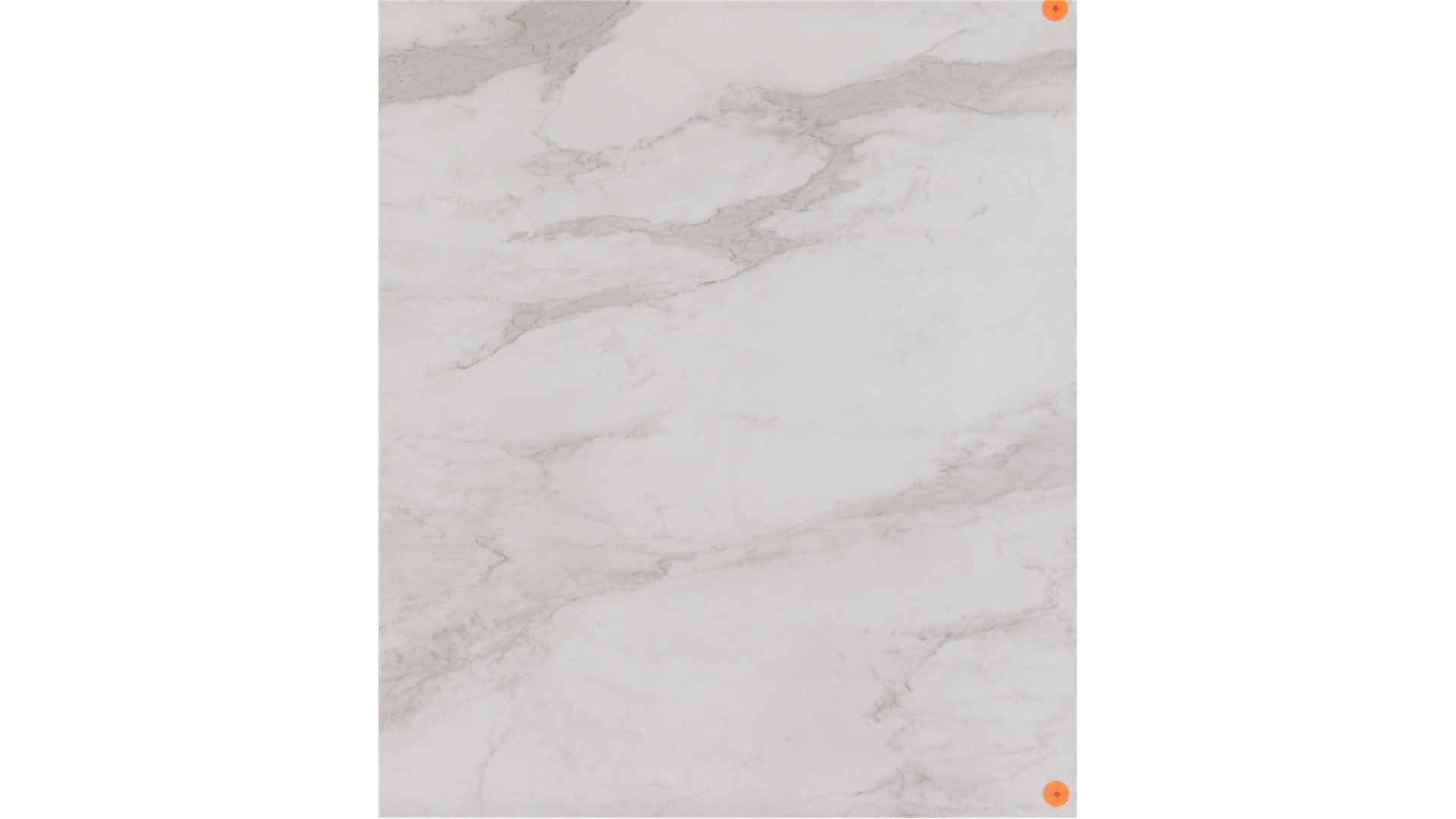 CALACATTA PORCELAIN Slabs