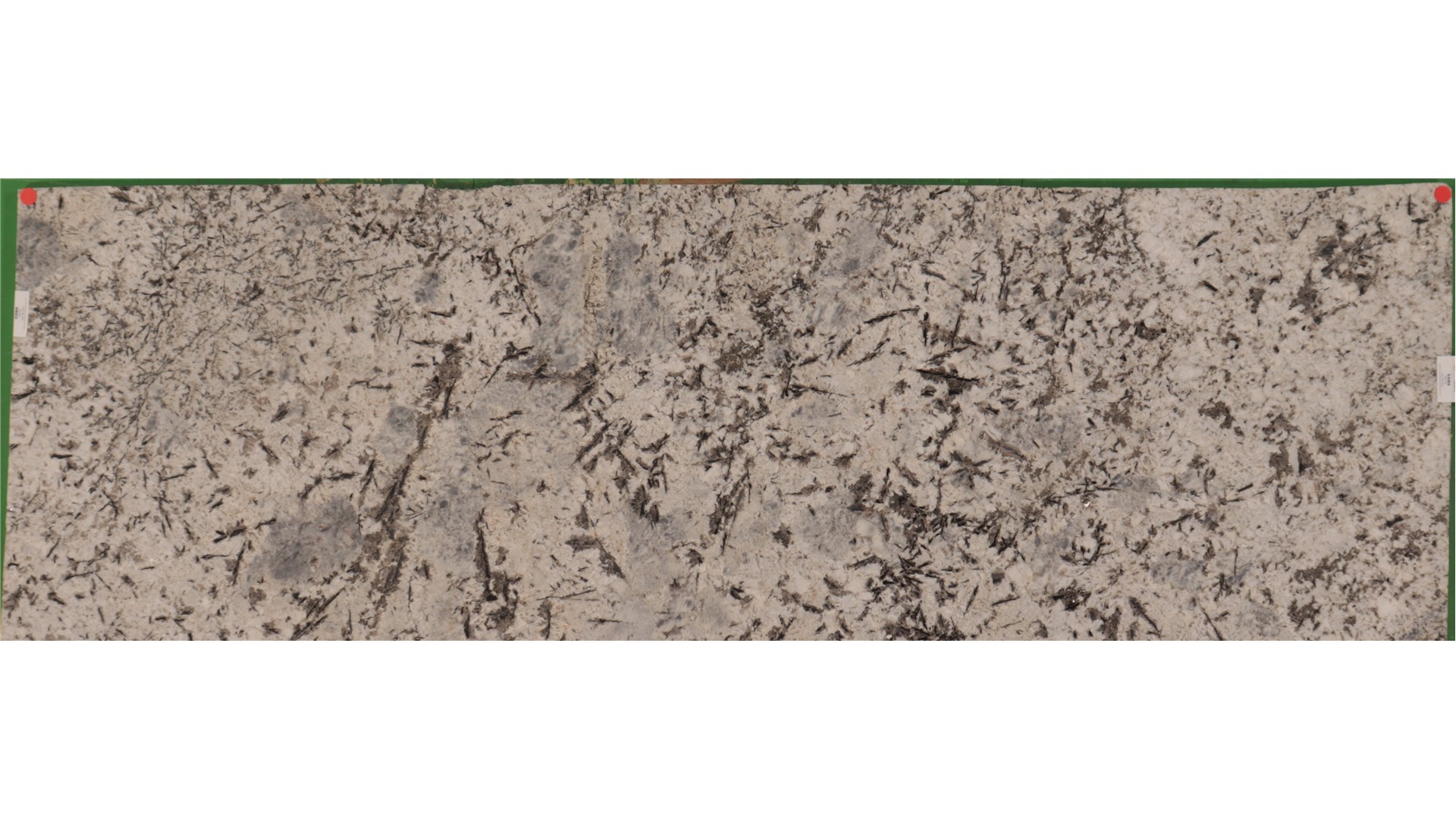 Enchanted Forest 3cm Daltile HD Stone (AZ) Slabs