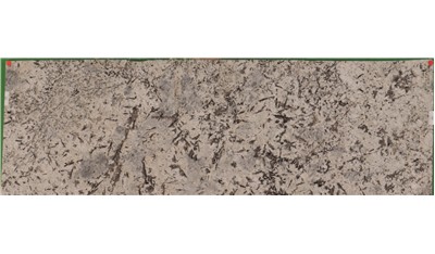 Enchanted Forest 3cm Daltile HD Stone (AZ)