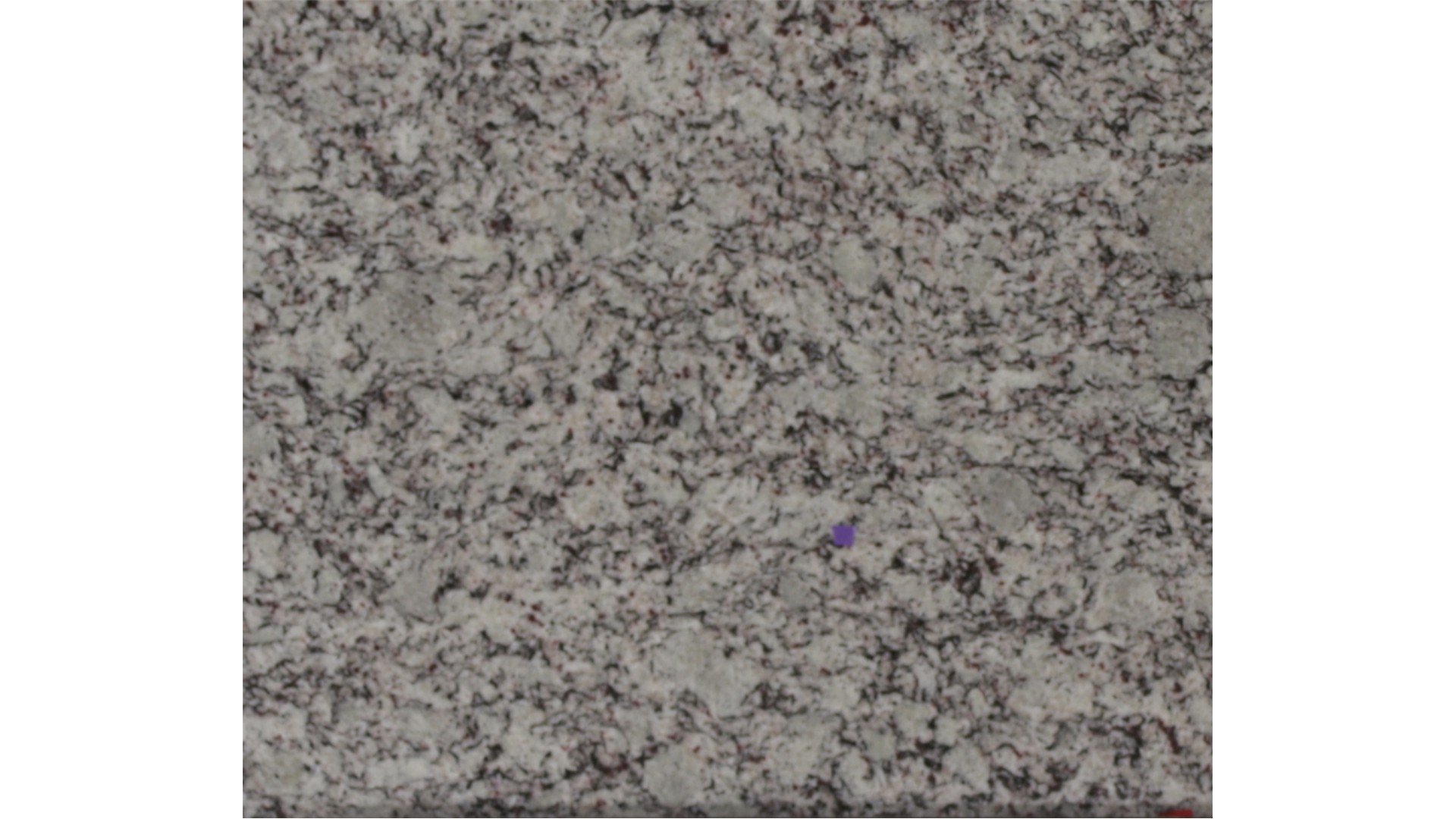 ASHEN WHITE GRANITE Slabs