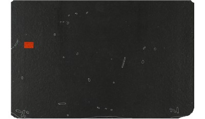 ABSOLUTE BLACK HONED GRANITE