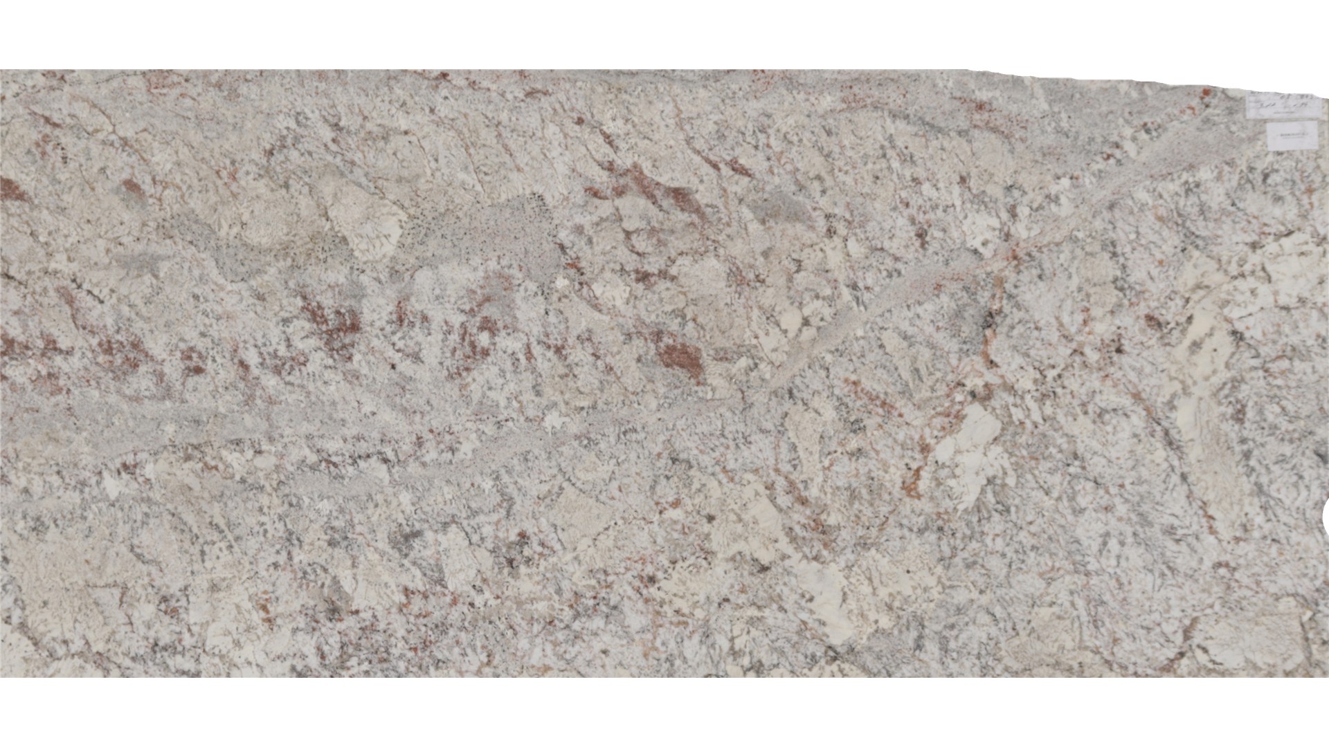 WHITE SPRING GRANITE Slabs