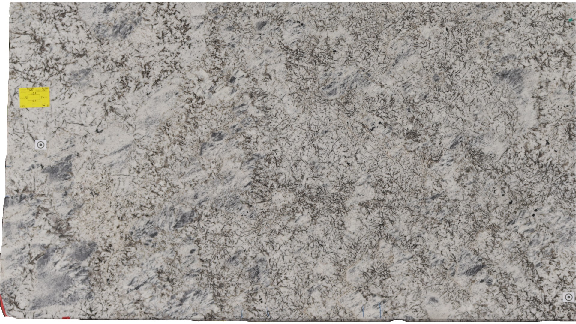 ENCHANTED FOREST GRANITE Slabs