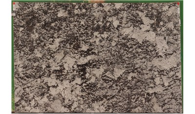 Delicatus Ice 3cm Sensa (AZ)