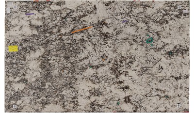 DELICATUS  WHITE GRANITE