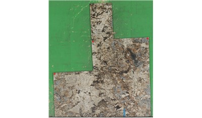 Delicatus Gold 3cm Daltile HD Stone (AZ)