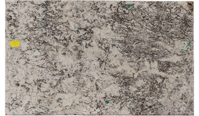 DELICATUS WHITE GRANITE