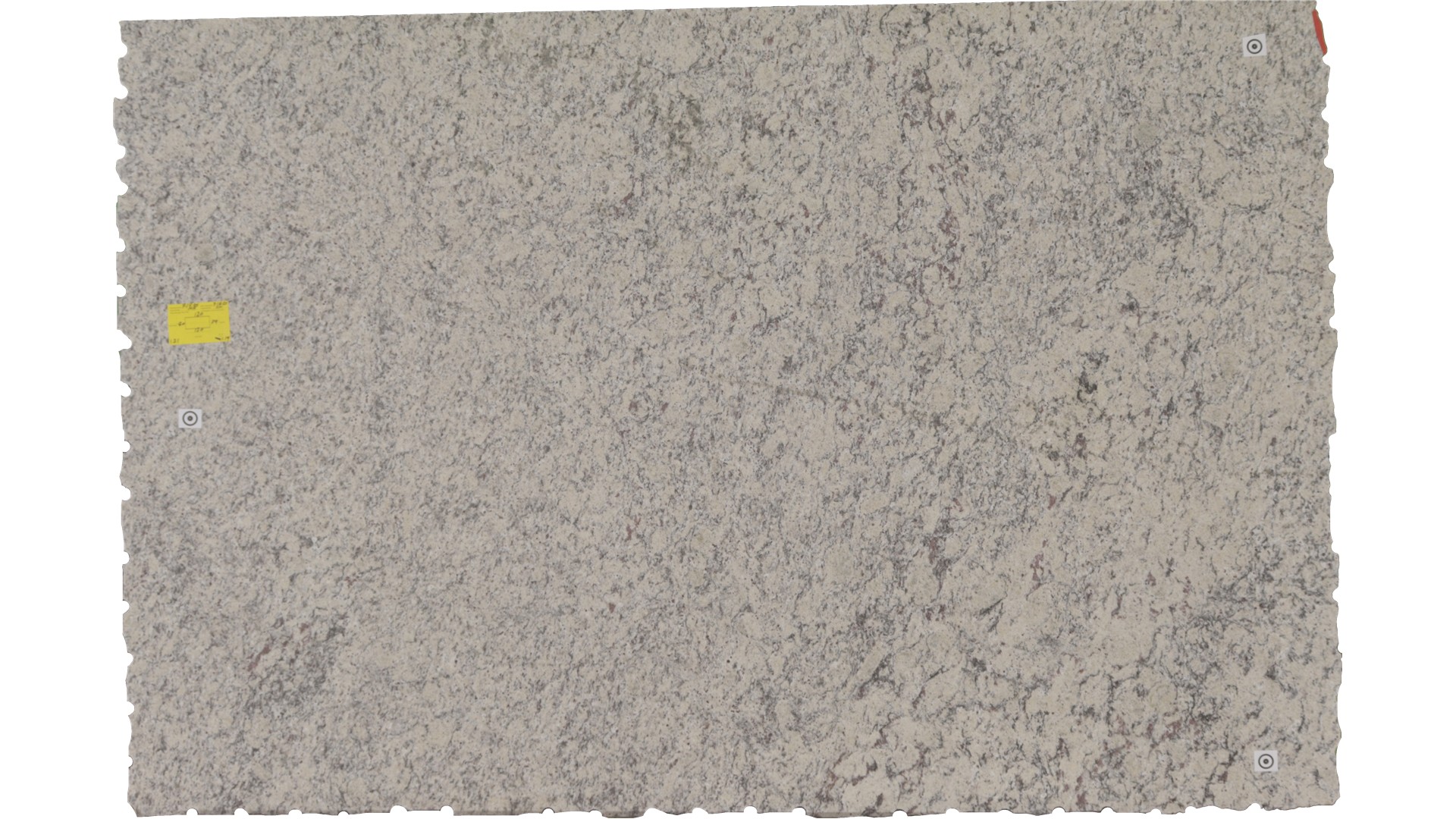 WHITE  NAPOLI GRANITE Slabs