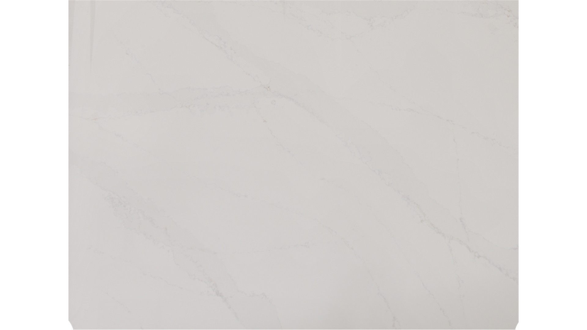 CALACATTA GOLD (CALACATTA GLITZ) SILESTONE Slabs