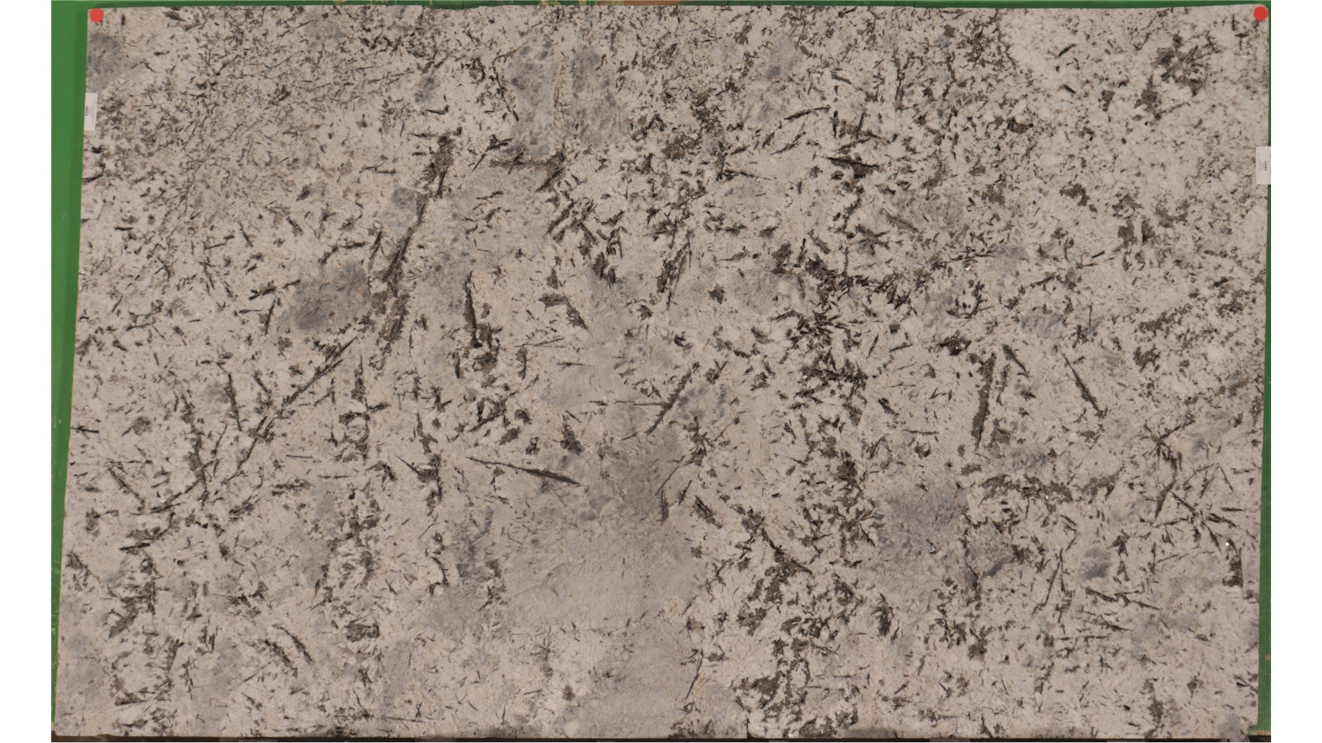 Enchanted Forest 3cm Daltile HD Stone (AZ) Slabs