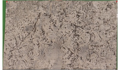 Enchanted Forest 3cm Daltile HD Stone (AZ)