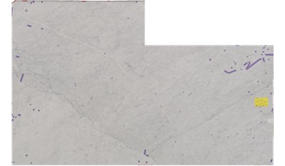 CARRARA  WHITE MARBLE