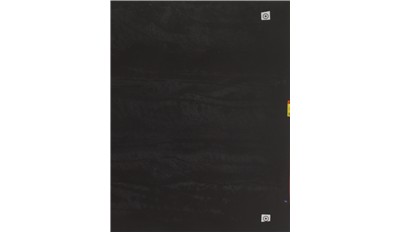 BLACK  TEMPAL CAESARSTONE