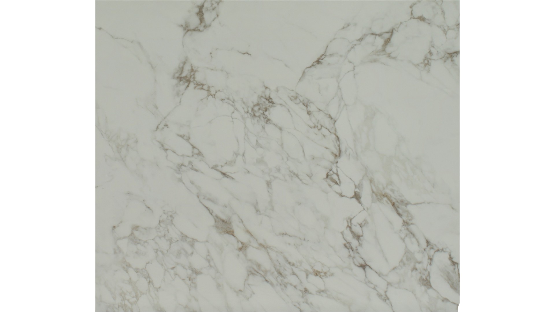 ARABESCATO VICIO PORCELAINE Slabs