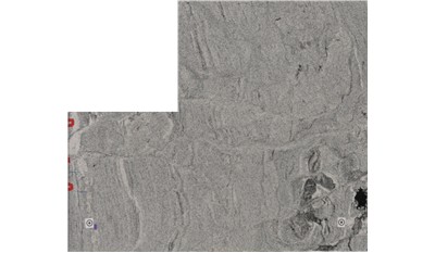 SIBERIAN WHITE GRANITE