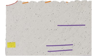 PITAYA  WHITE GRANITE