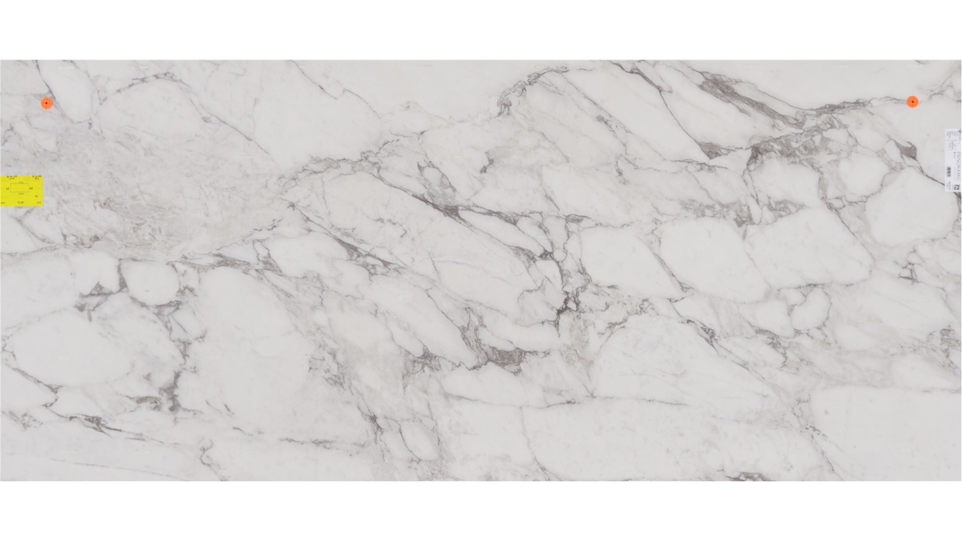 CALACATTA GYPSUM PORCELAIN Slabs