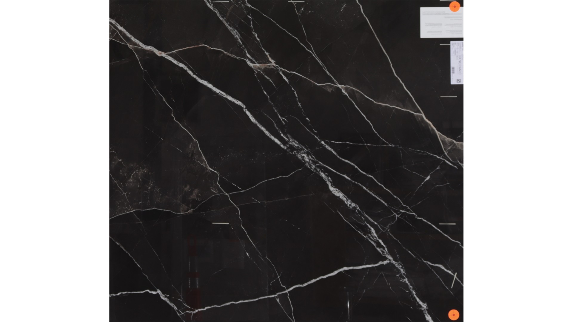 ZEBRA CALACATTA PORCELAINE Slabs