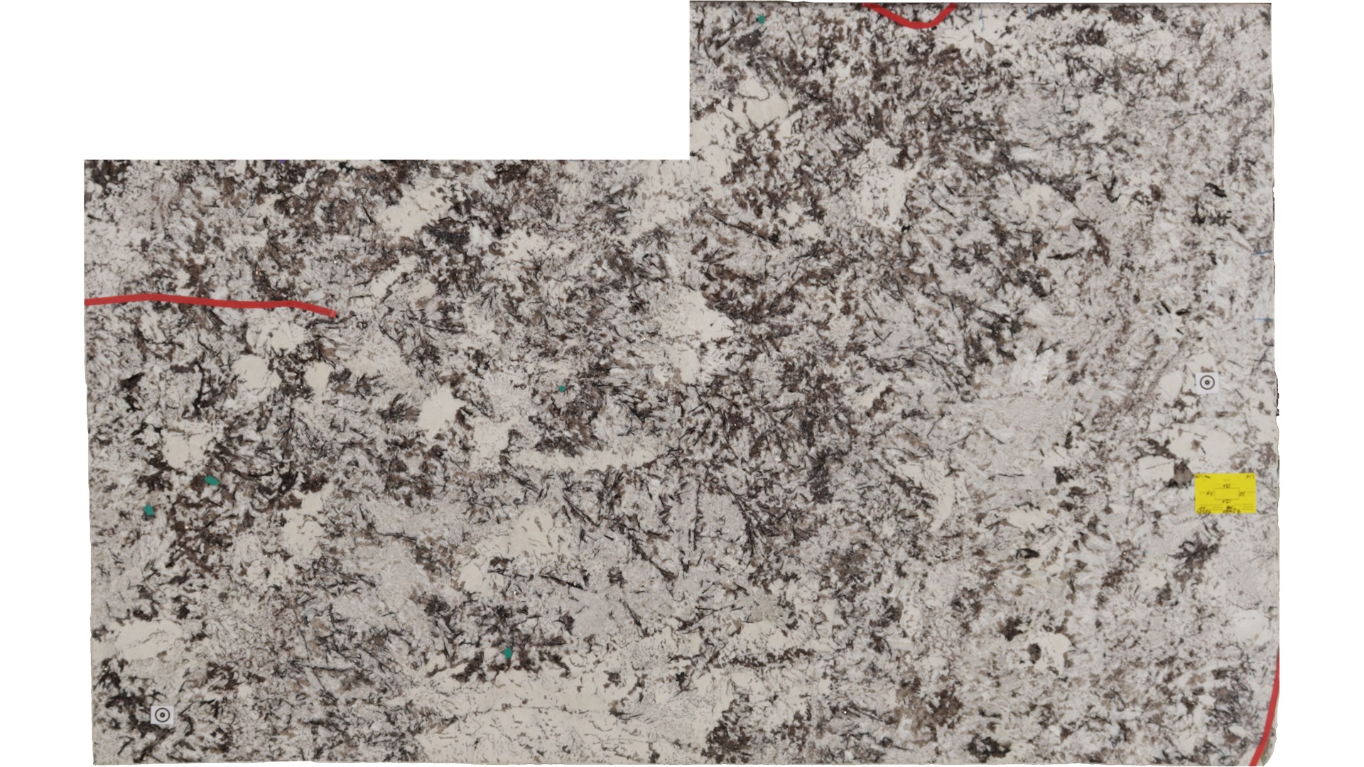 DELICATUS WHITE GRANITE Slabs