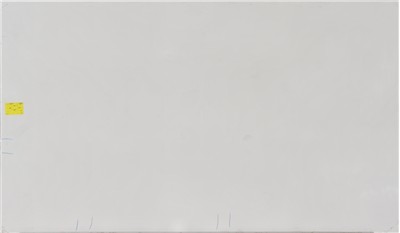 ARCTIC  WHITE quartz