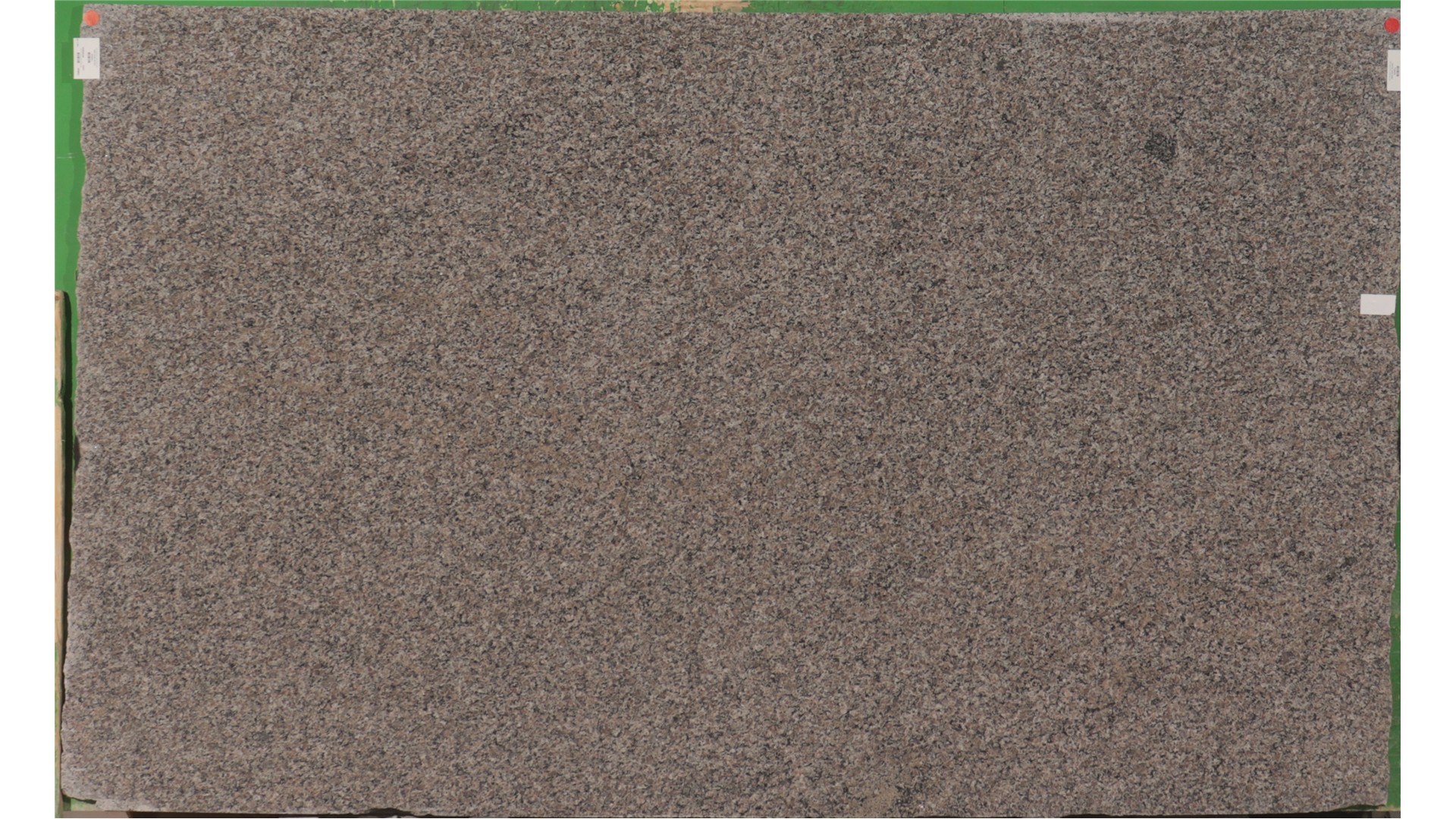 Caledonia 3cm  MSI Stone (AZ) Slabs