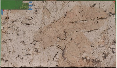 Sunset Canyon 3cm MSI Stone (AZ)