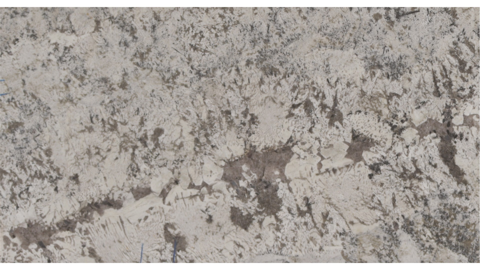 GRAY NUEVO GRANITE Slabs