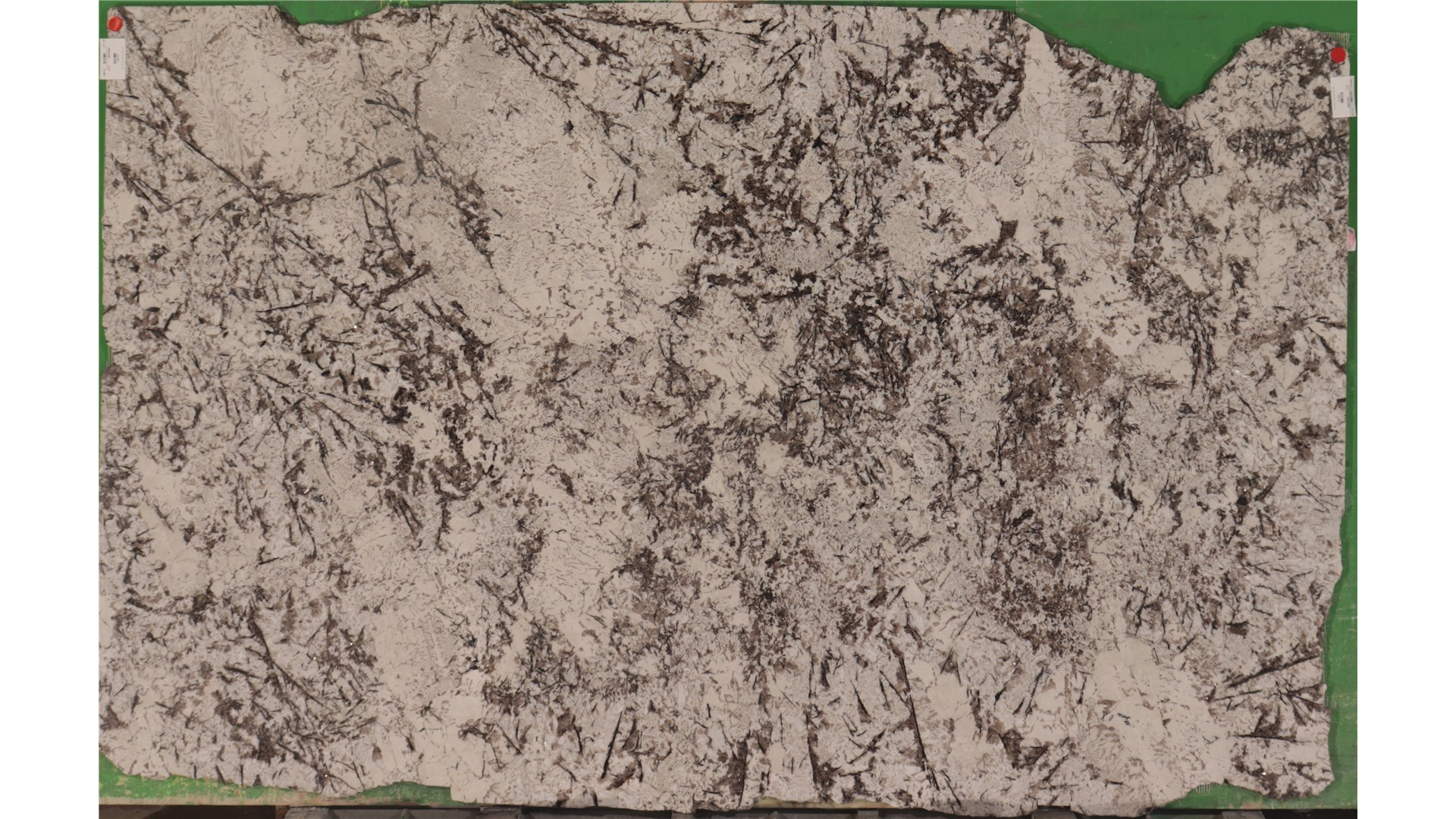 Delicatus White 2cm  MSI Stone (AZ) Slabs
