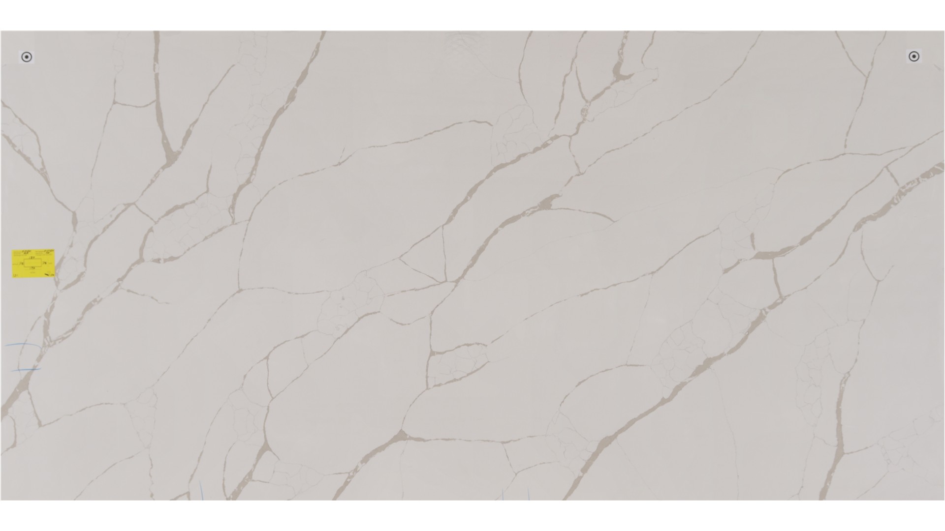 NEW CALACATTA LAZA QUARTZ Slabs