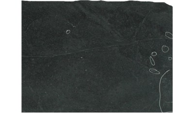 GRAY SOPA STONE GRANITE