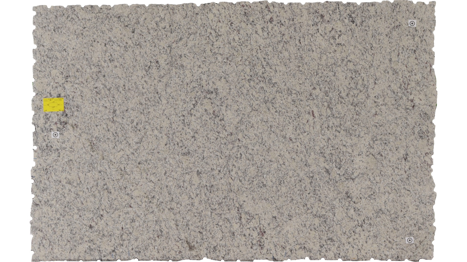 WHITE  NAPOLI GRANITE Slabs