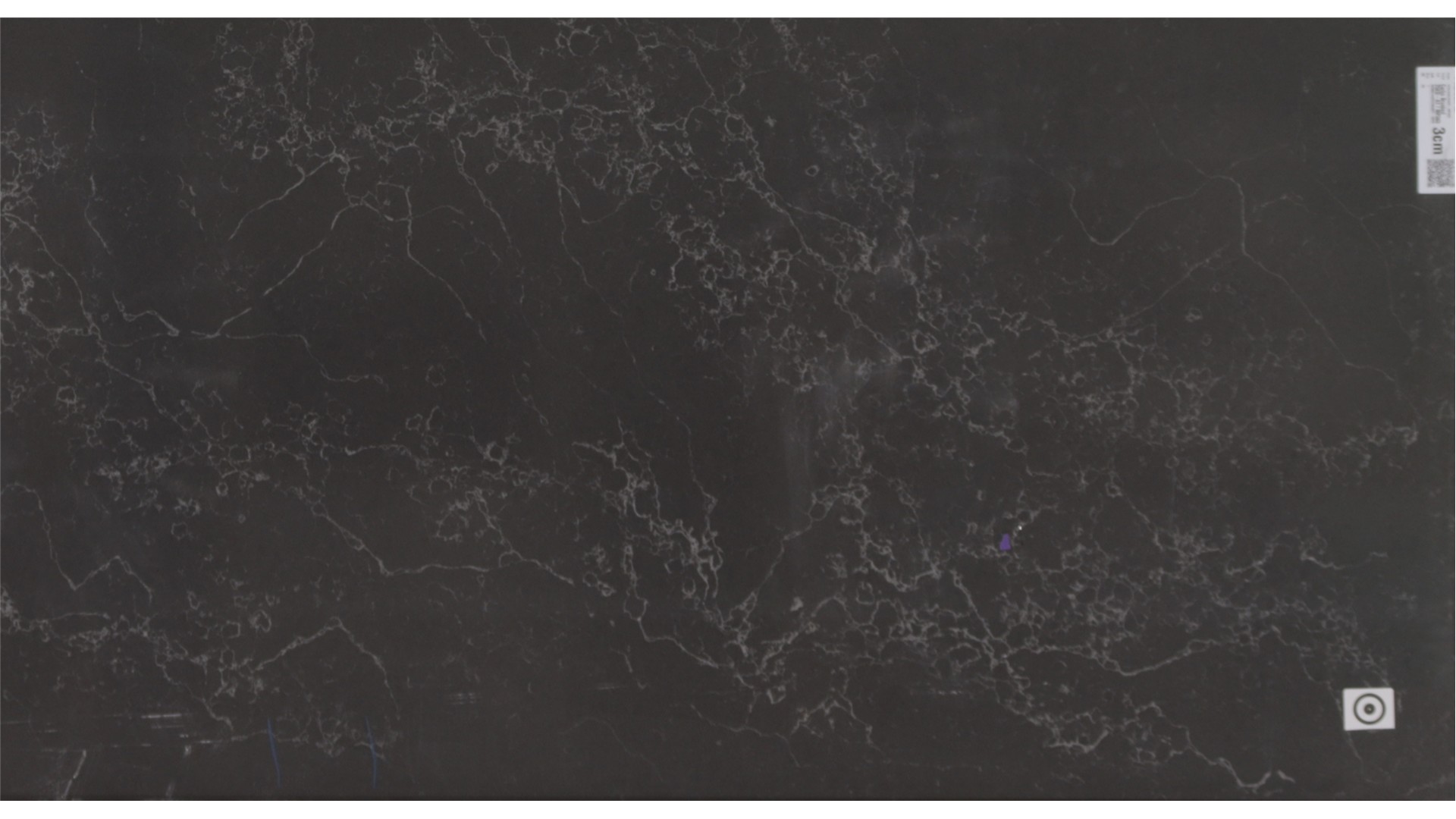 CARBO  BRUSHED VIATERA Slabs