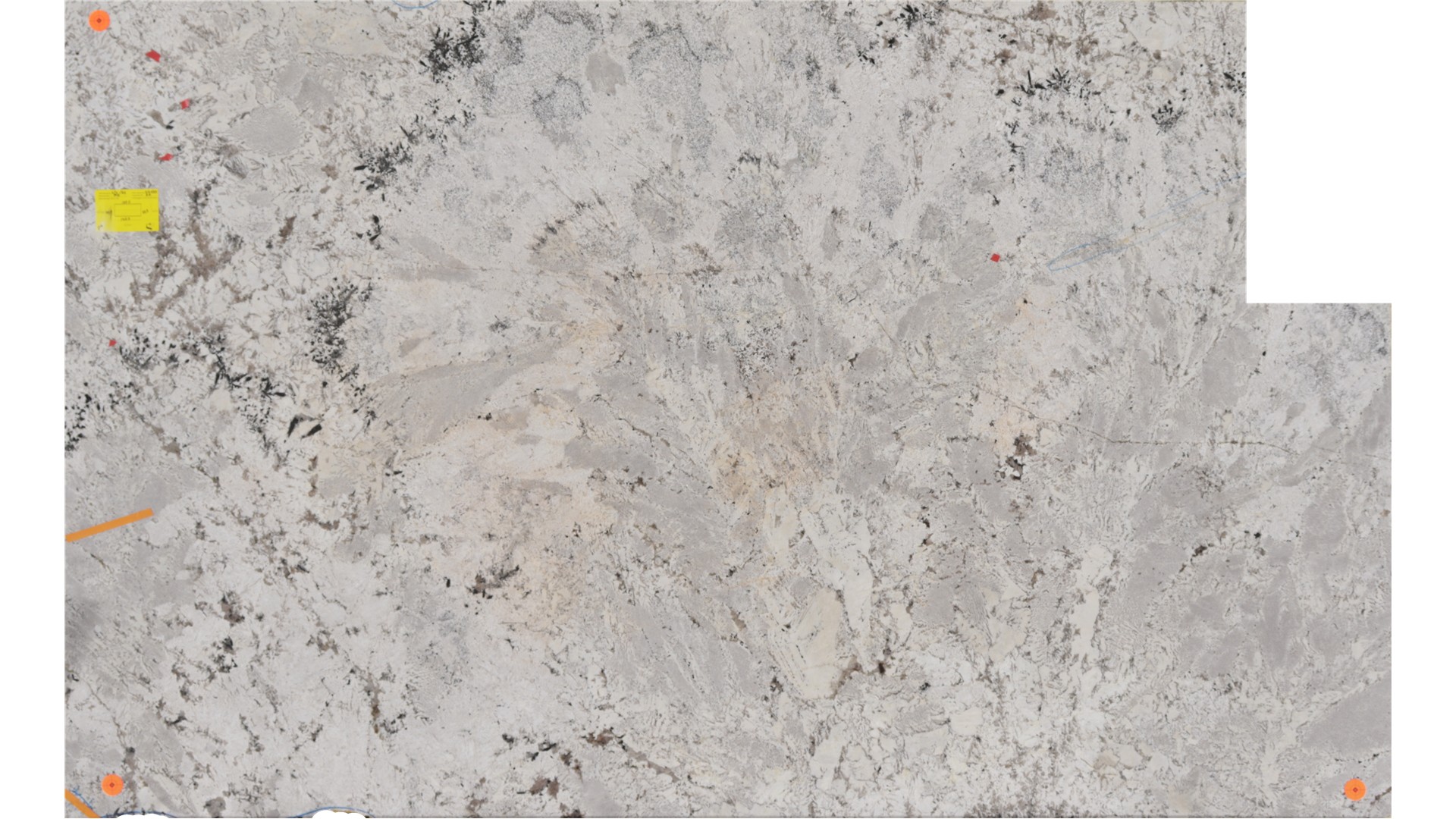 ADONIS WHITE GRANITE Slabs