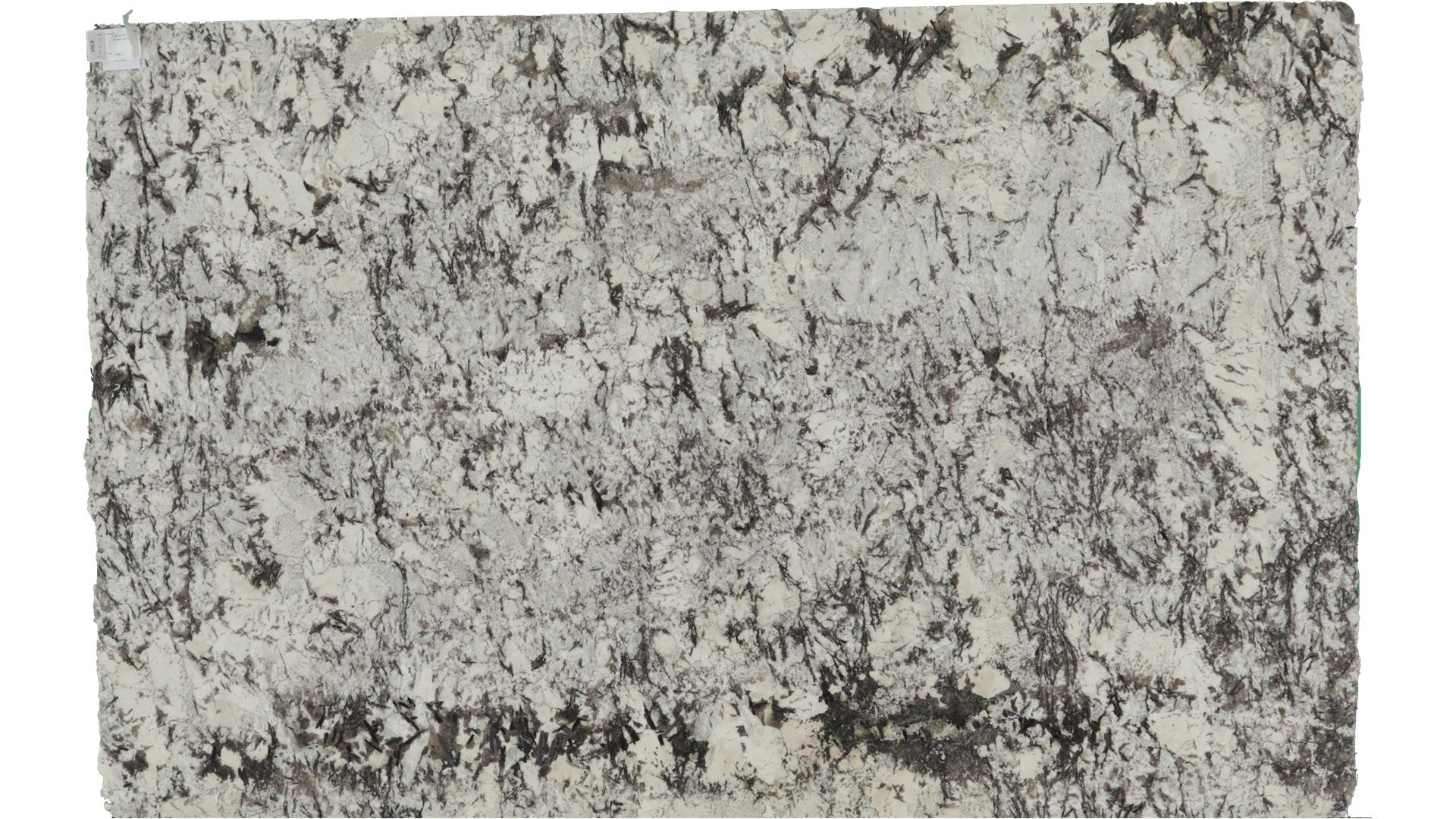 Delacatus white Granite Slabs