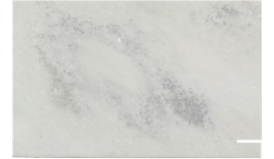 Snow white Marble