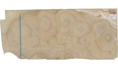 Caterpillar Onyx Onyx