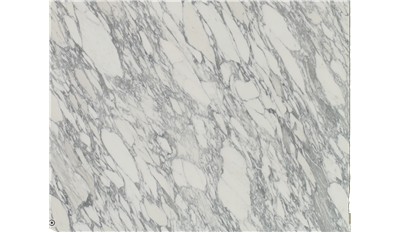 Arabescato Corchia Extra Marble