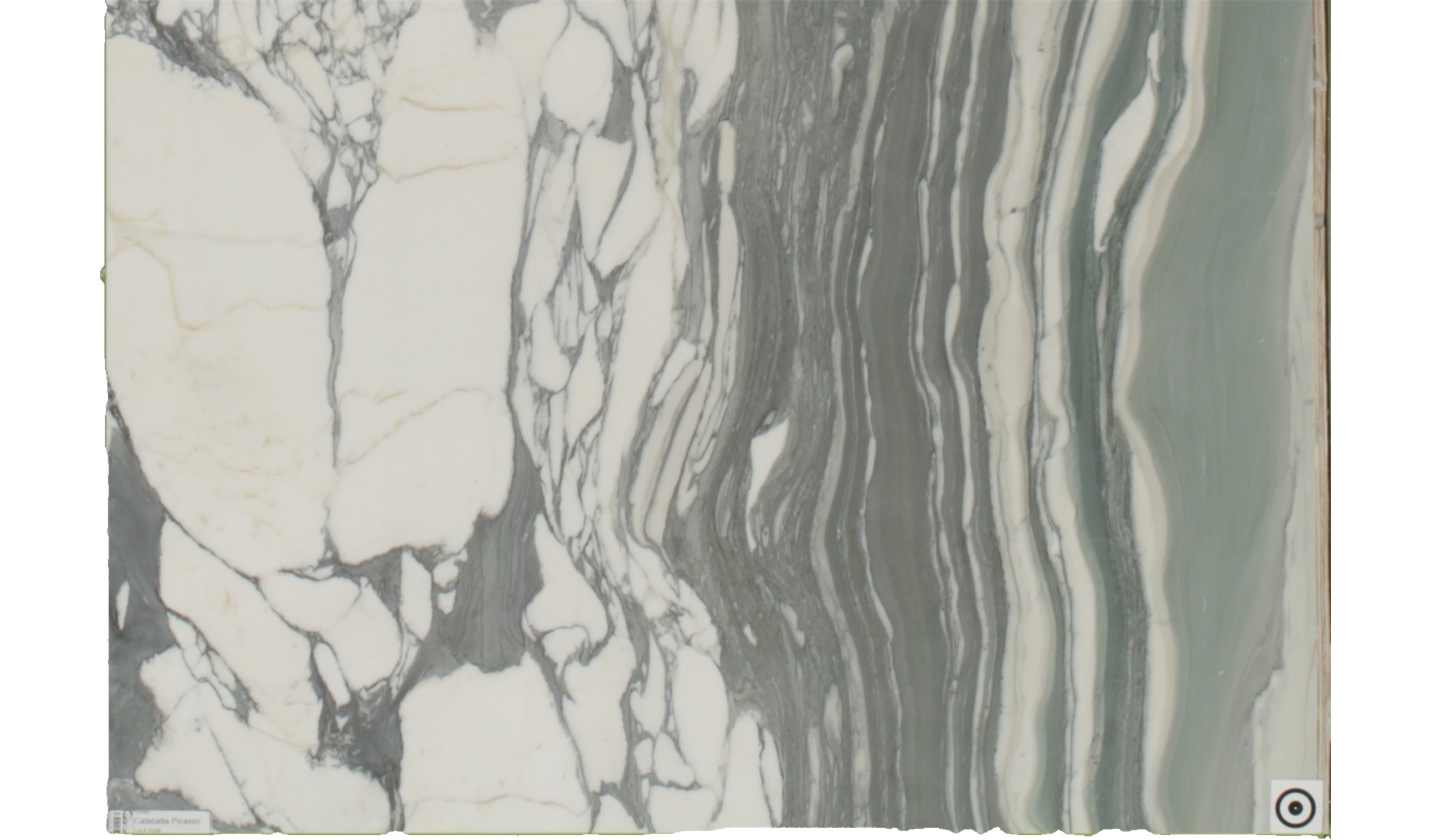 Calacatta Picasso Marble Slabs