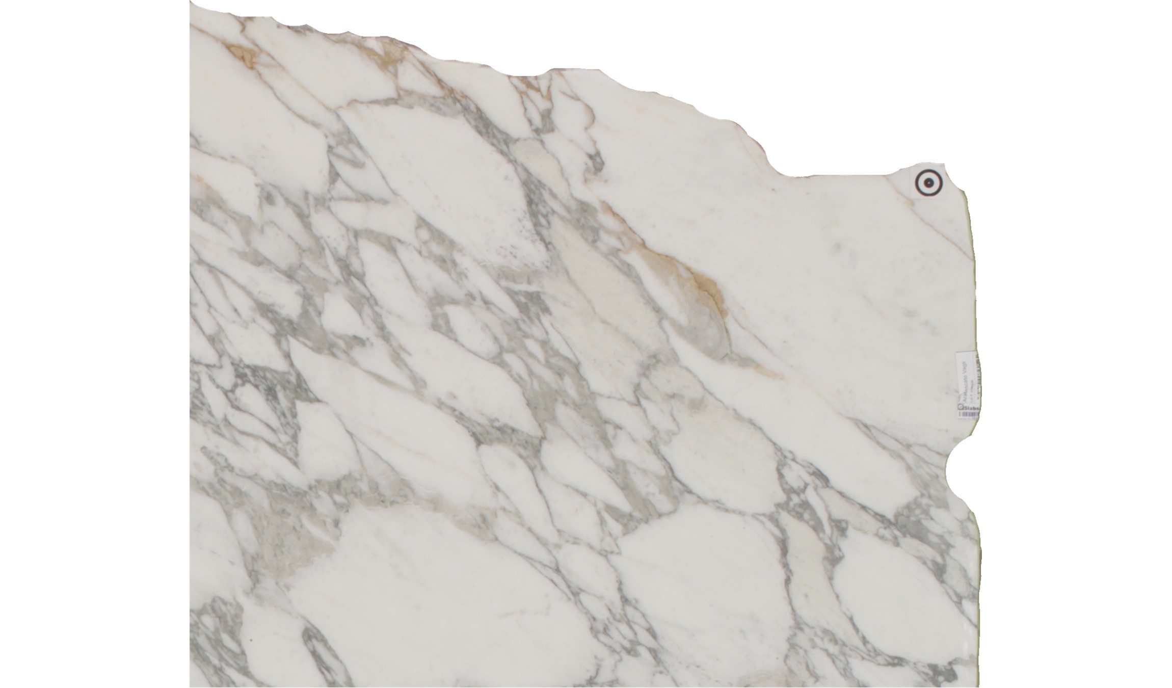 Arabescato Vagli Marble Slabs