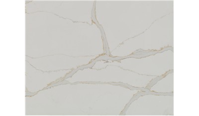 Calacatta Solessio Quartz