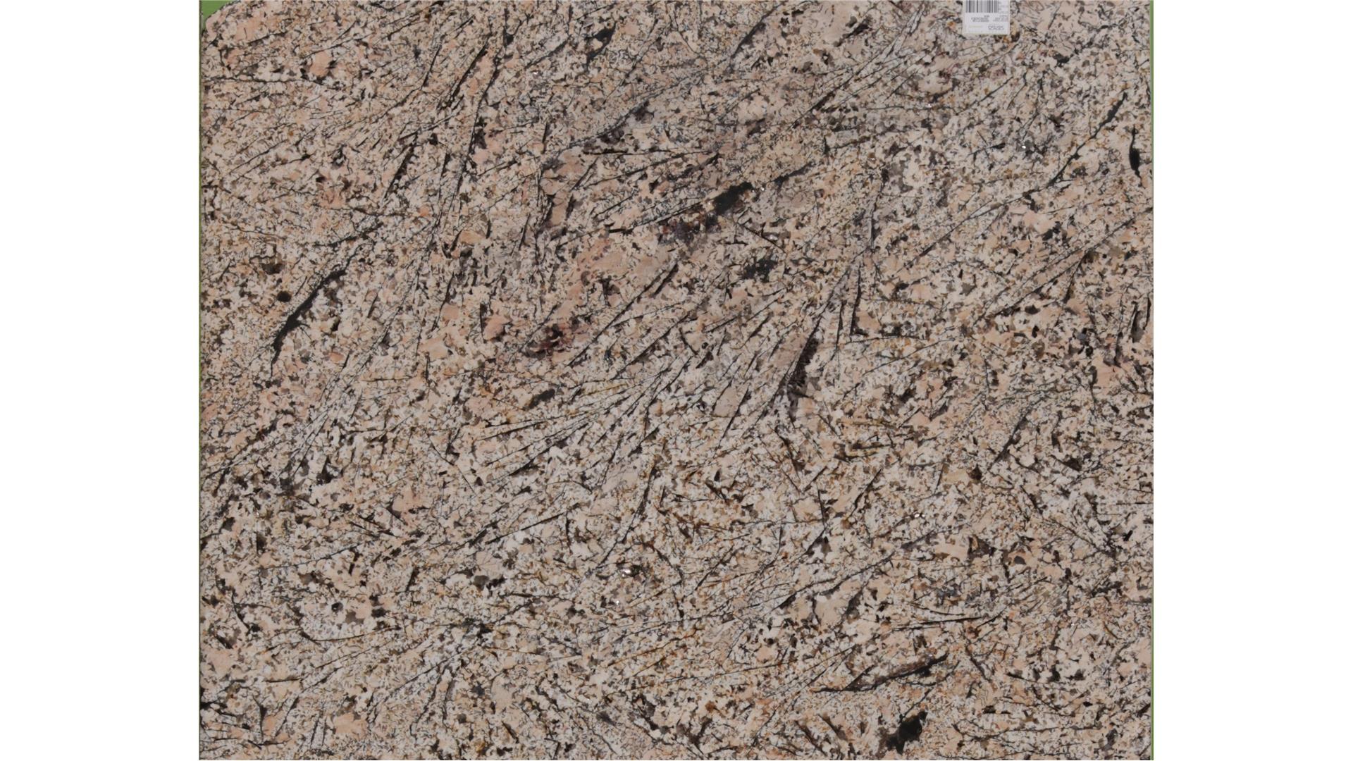 Brown Persa SenSa Granite Slabs